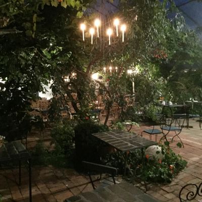 Växthus med mysig miljö på vårt café på Österlen